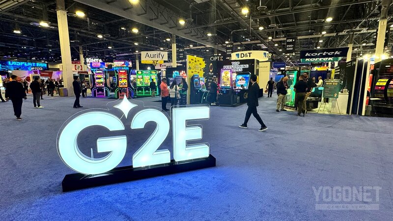 Parhaat Pikalainat: Luotettavat Ja Edulliset Vaihtoehdot