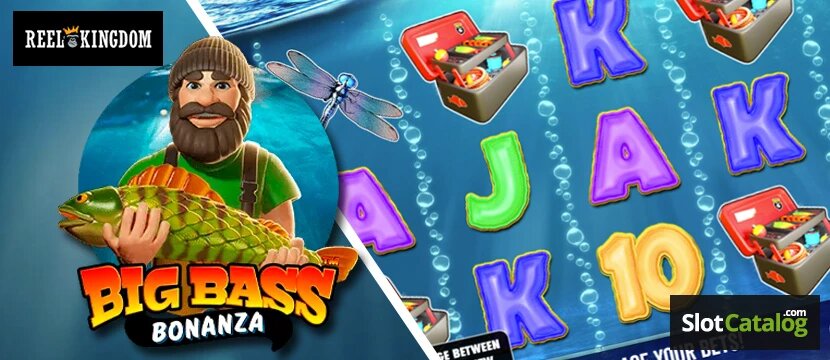 Pikavippi Tarjous: Parhaat Edut Ja Vinkit Nopeisiin Pikavippeihin